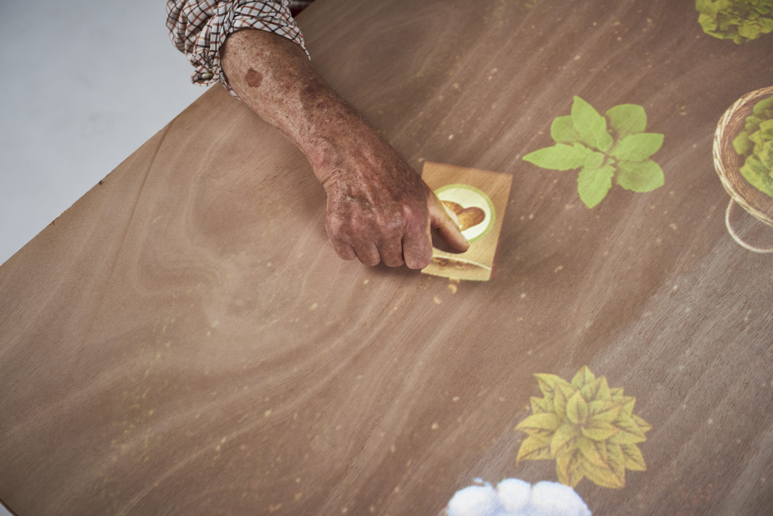 Moestuin Tovertafel spel