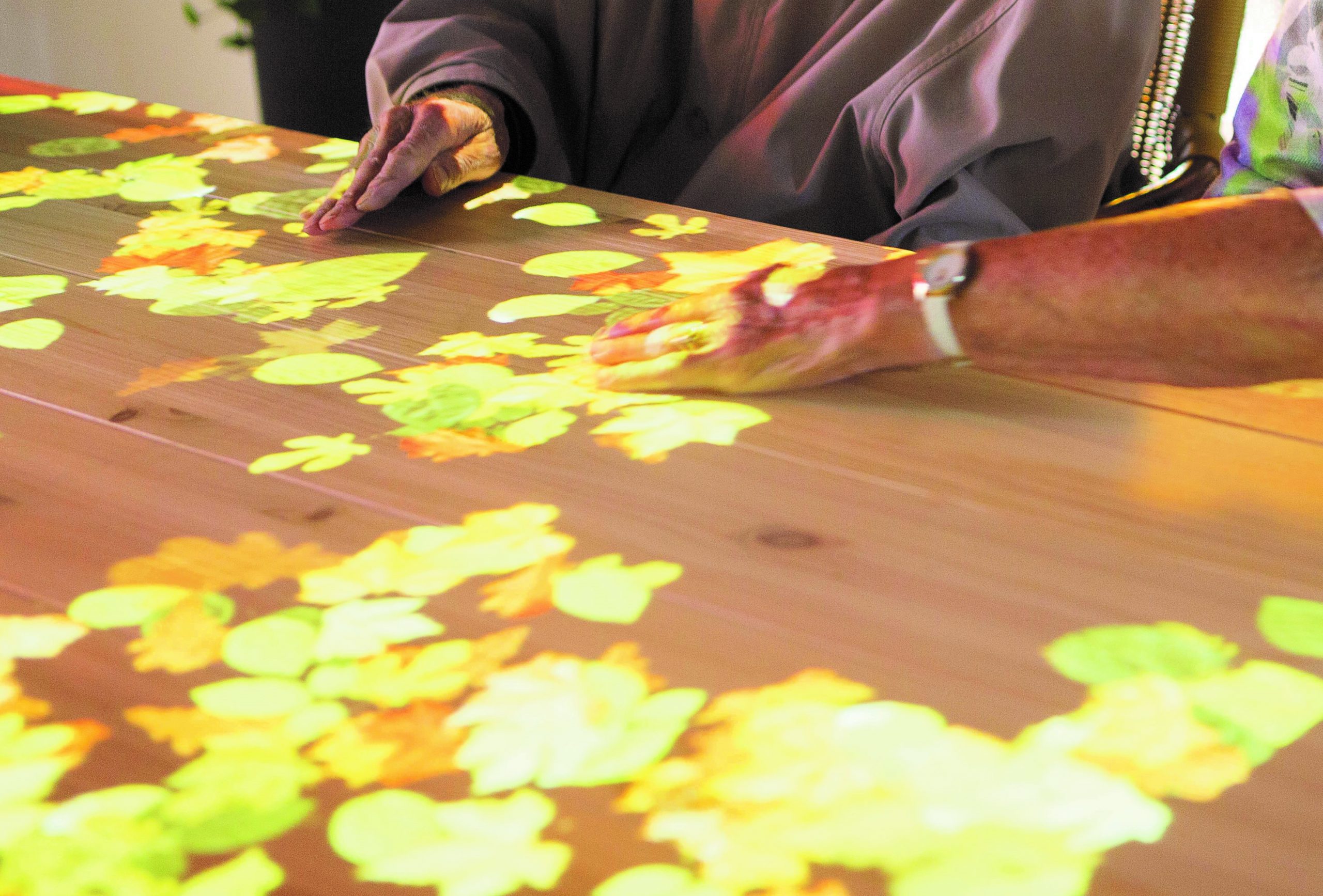 Spel Bladeren Ouderen Tovertafel