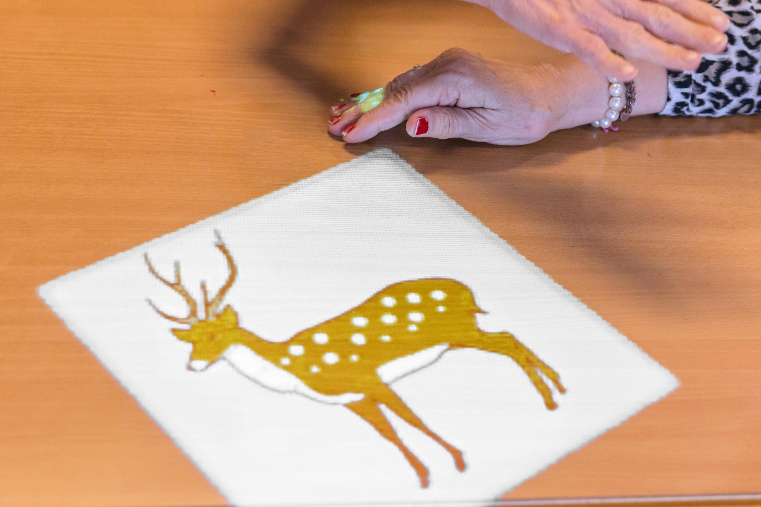 Spelfoto Dierenduo's Volwassenen Tovertafel