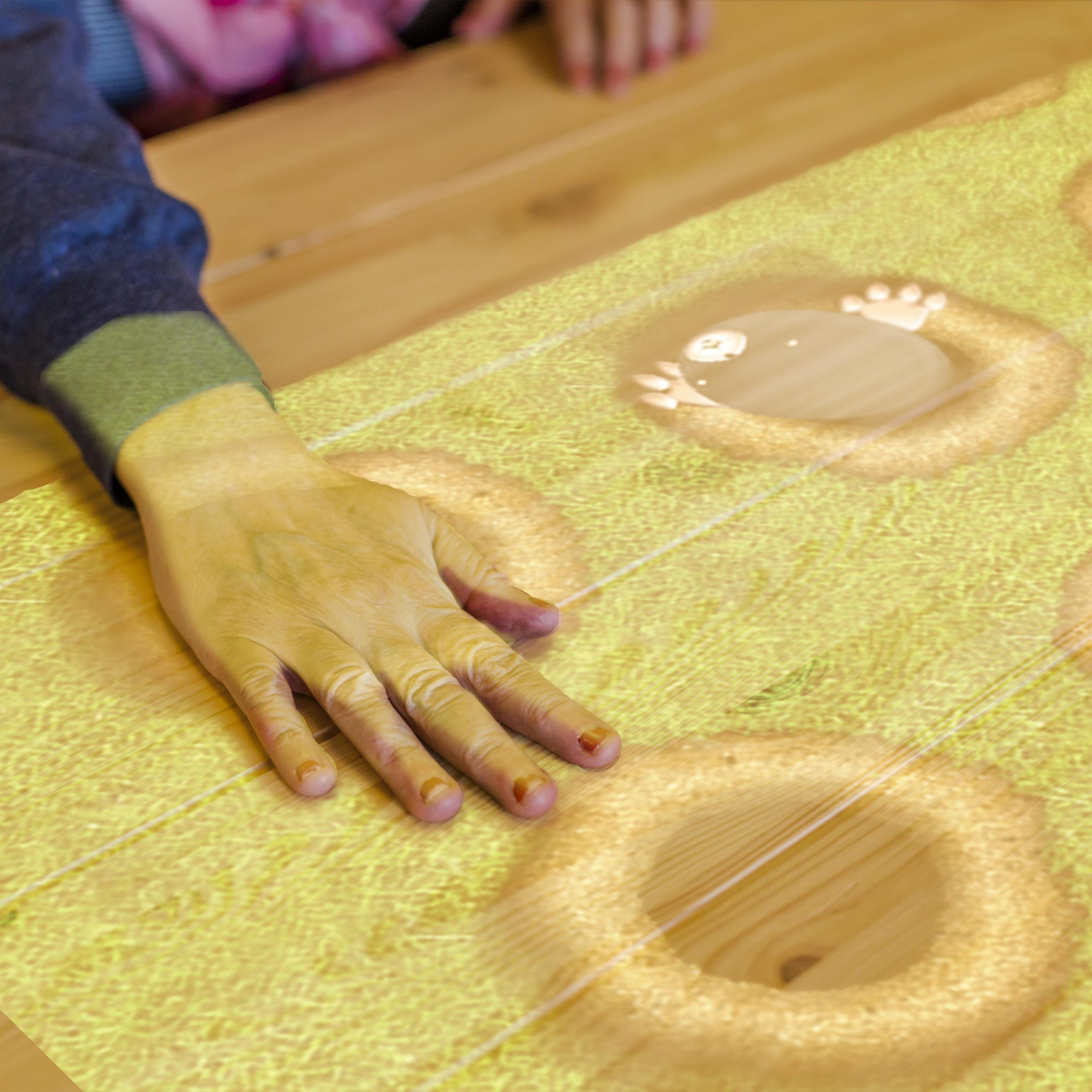 Spelfoto Mollen Volwassenen Tovertafel