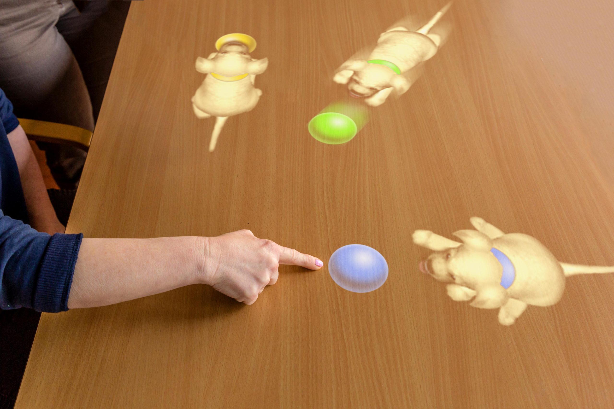 Spelfoto Puppy's Volwassenen Tovertafel