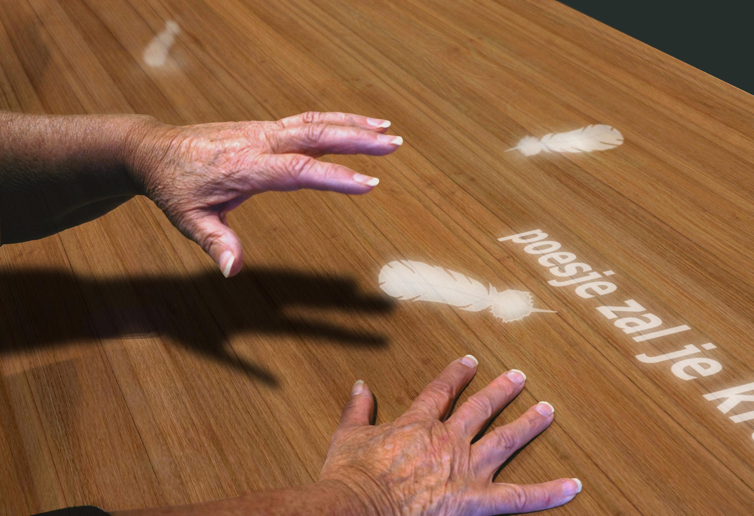 Spelfoto Rijmpjes Senioren Tovertafel