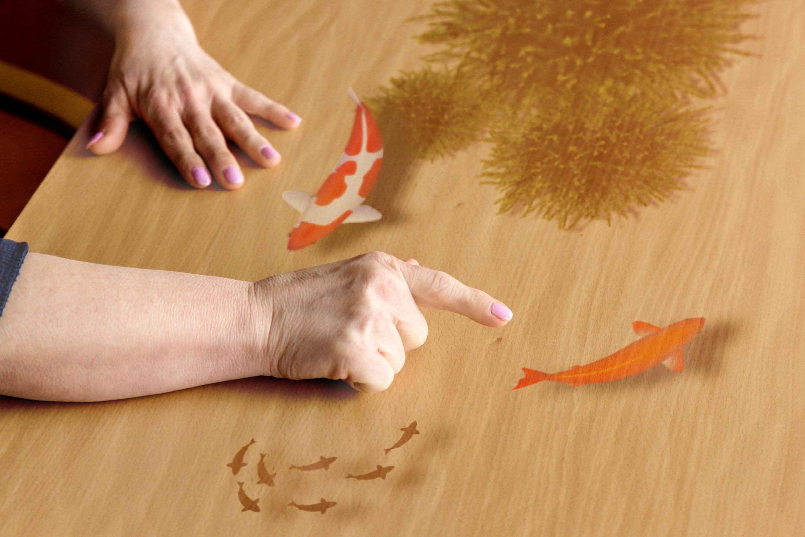 Spelfoto Vijver Volwassenen Tovertafel